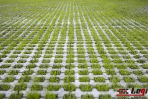 Read more about the article Grass tiles “Harmony”