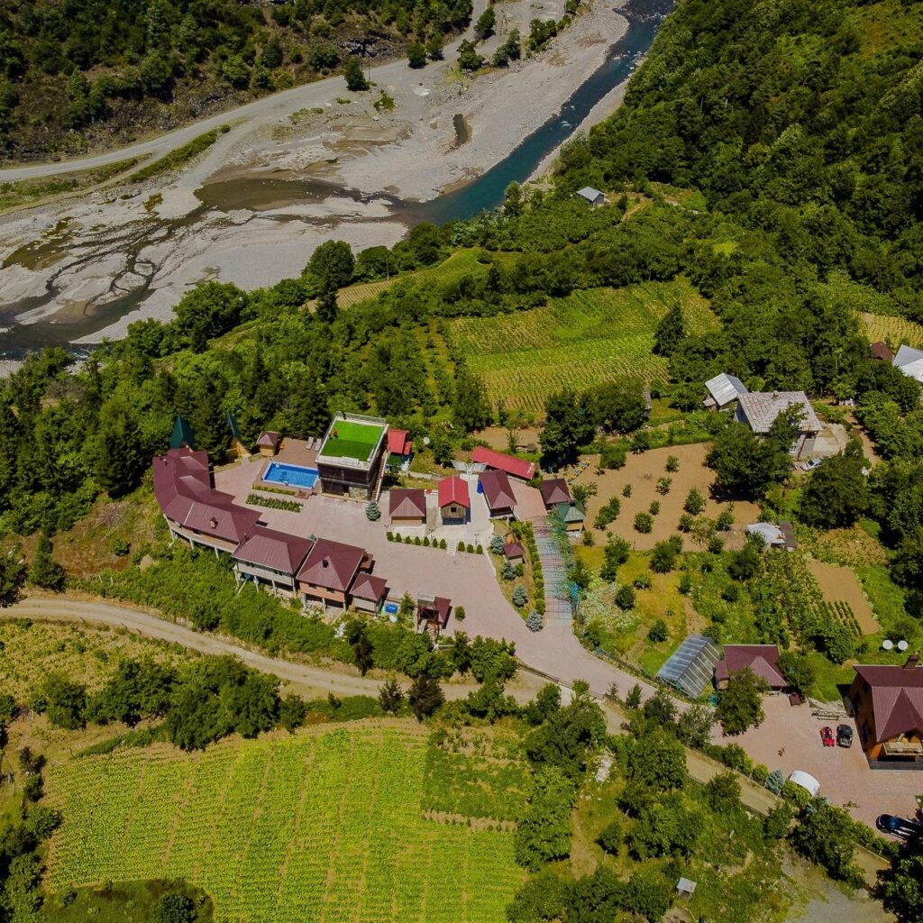თუ გსურს რომ ყველაზე ლამაზი ეზო გქონდეს 1 თუ გსურს რომ ყველაზე ლამაზი ეზო გქონდეს