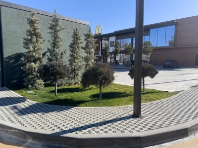 ბორდიური