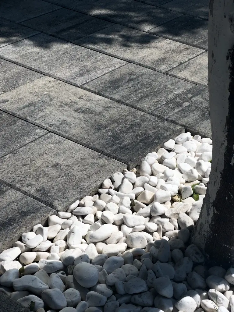 სიახლეები