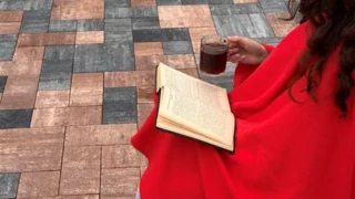 ფოტო გალერეა